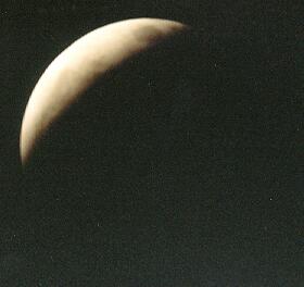 Grillos en la Paulista